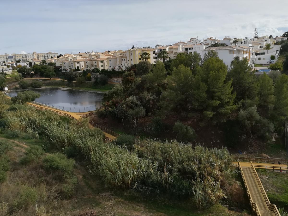 Albufeira Inn - Elimar 1 T1 ภายนอก รูปภาพ